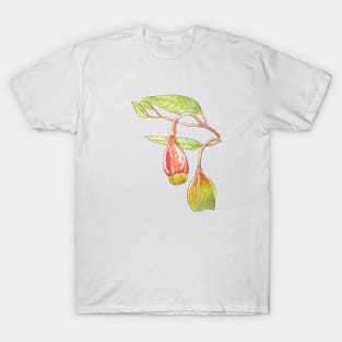 Fuchsia gum - Eucalyptus forrestiana T-Shirt